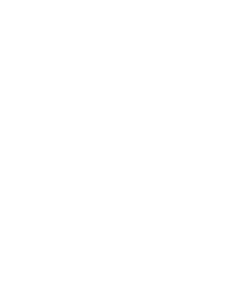 The Otago Art Society