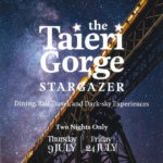 Dunedin Rail Stargazer Poster